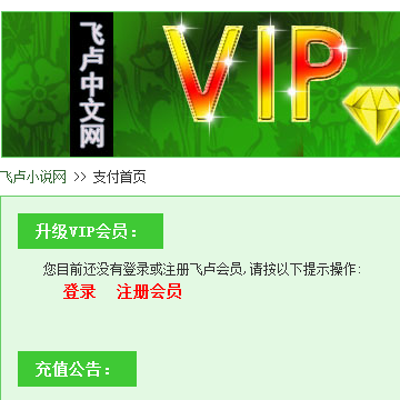 飞卢小说网VIP充值