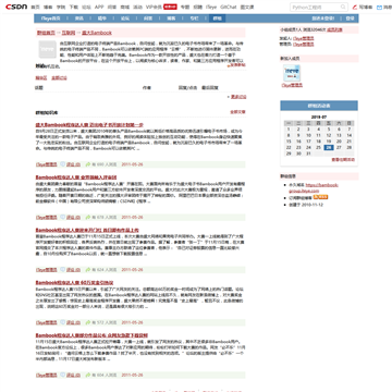 盛大BambookITeye技术社区