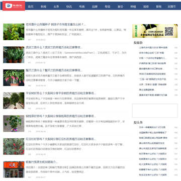 大梨网